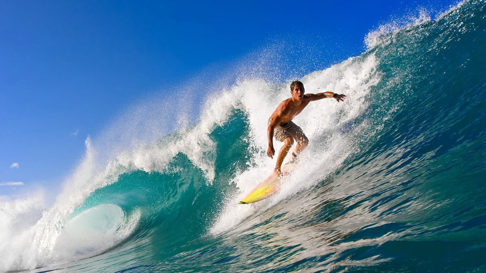 塔图姆统治全场，雄鹿冲垮凯尔特人，一场战术与意志的史诗对决