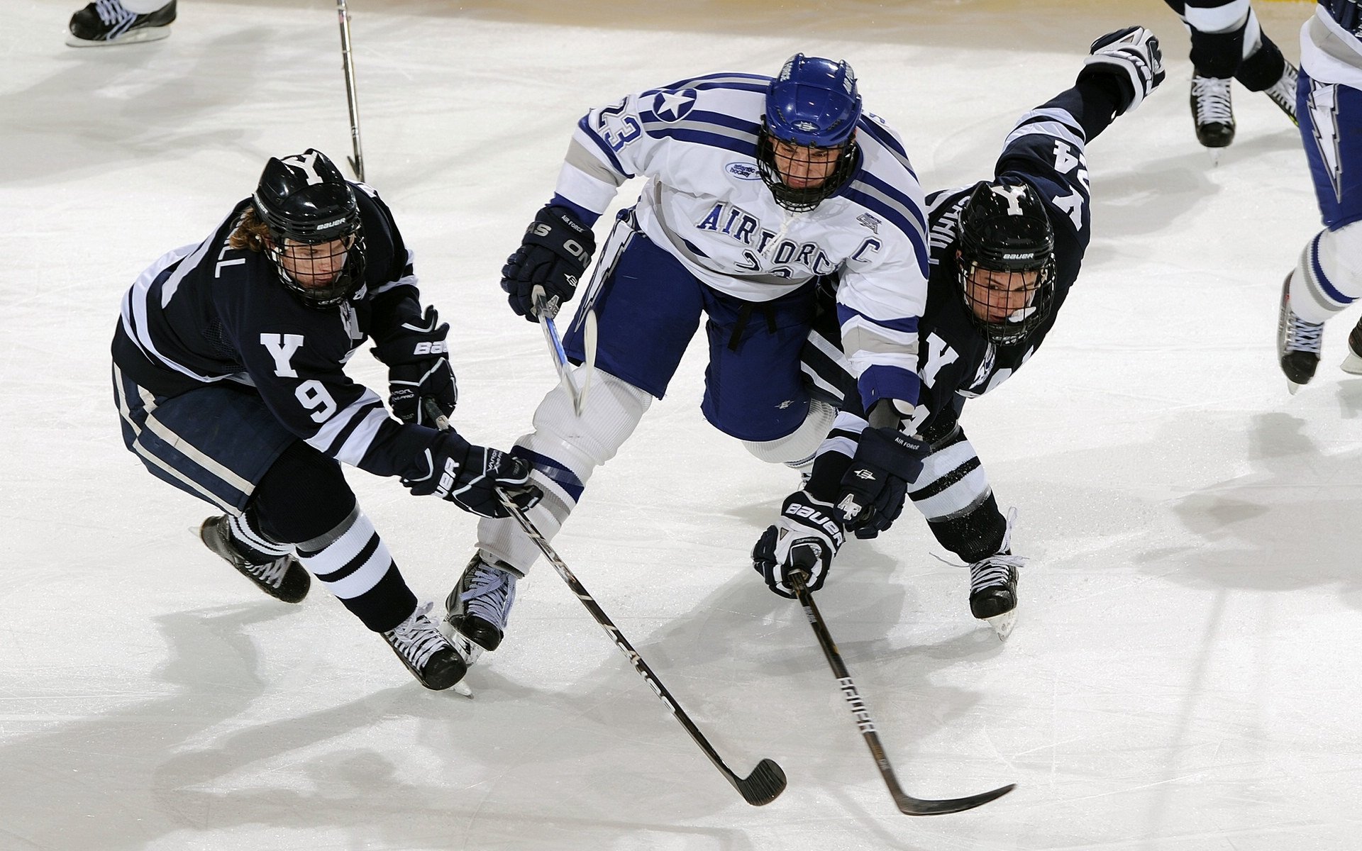 哈利伯顿的统治，当山西的坚韧遇上广东的体系